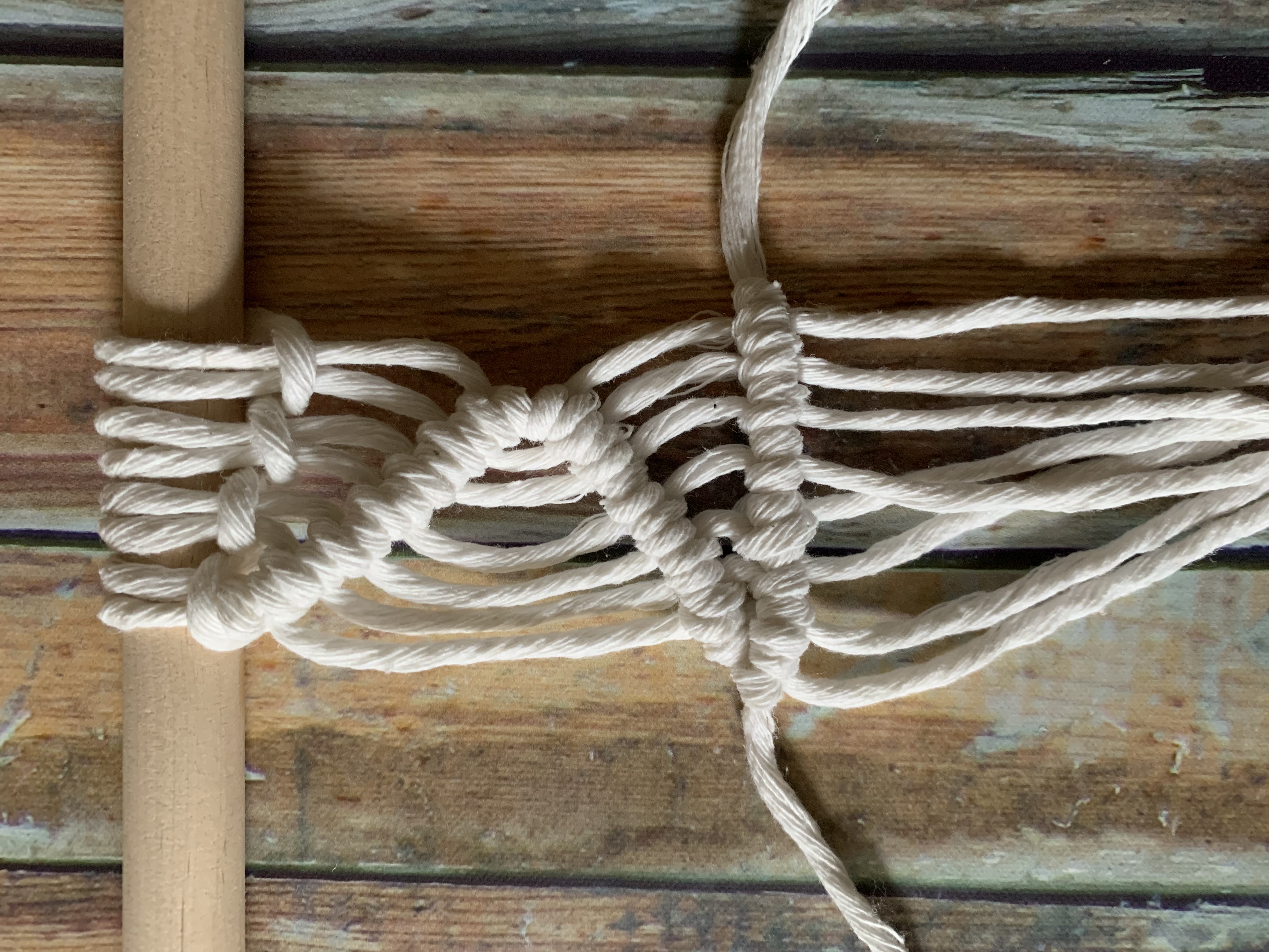 Double Half Hitch Knot Tutorial